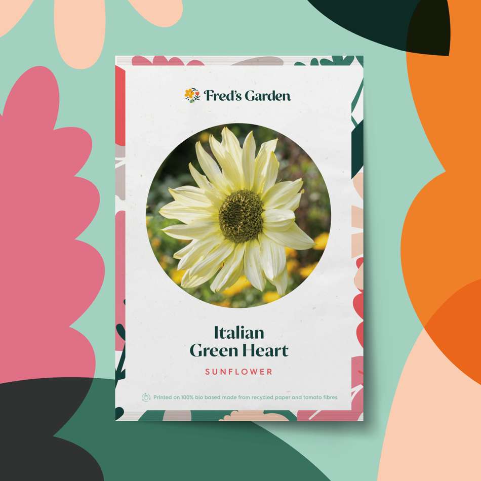 Solros 'Italian Green Heart' (frö)